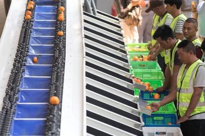 强省会战略下内陆地区的发展挑战 初级农产品产地的出路何在？