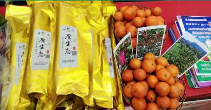 资源县电商年货狂欢节 实现初级农产品、产销方与精准扶贫的'一举三赢'