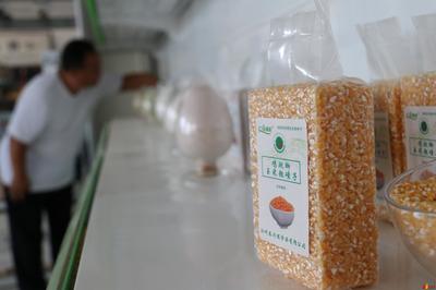 唱支幸福歌给党听② | 袁振强 少说多干，南堤“蝶变”初级农产品之路