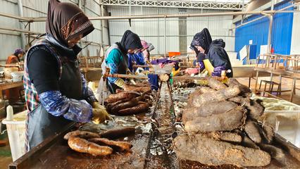 文山市红甸乡山药初加工破解销售困局