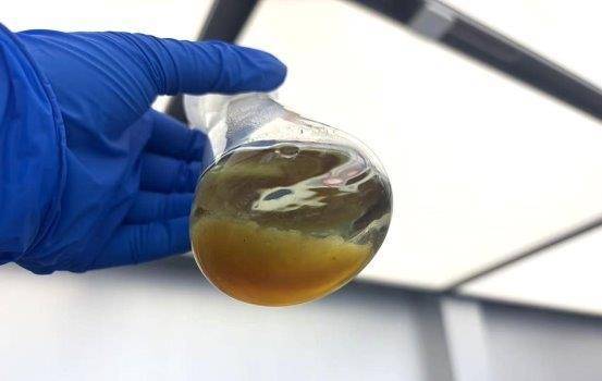 AI模型技术引领植物工厂革新 小巨人企业实现积雪草苷提取重大突破