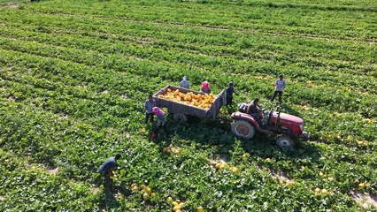 从“一棵好苗”到“一桌好菜” 初级农产品的华丽转身