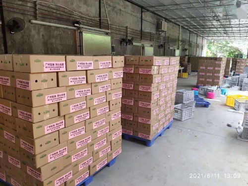 加油！廉江近万箱爱心农产品驰援抗疫一线