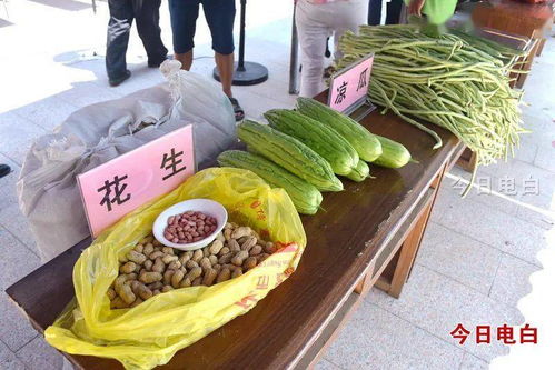 马踏镇 举办农产品购销协议签订仪式暨消费扶贫主题活动