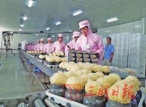 大力发展食用菌产业 夯实乡村振兴发展基础
