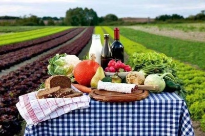 初级农产品的定义与食品经营许可证要求解析