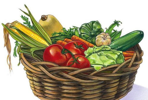 放心菜篮子 直采高原优质蔬菜，丰富岛城餐桌